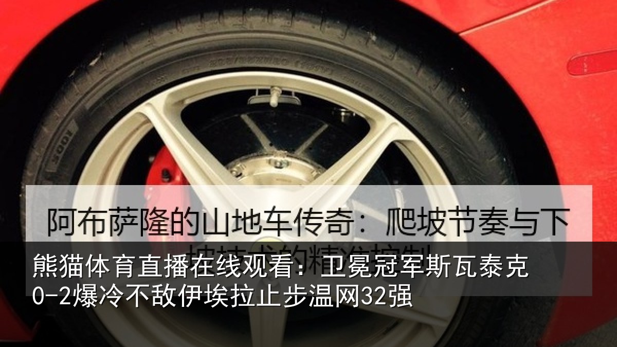 熊猫体育直播在线观看：卫冕相关情况不敌相关情况