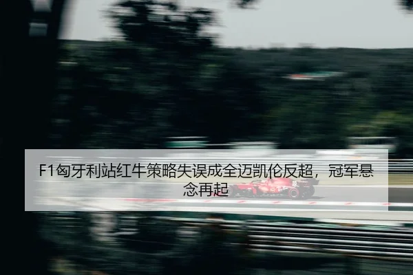 xiong-ya-li-zhan-hong-niu-ce-lve-shi-wu-cheng-quan-mai-kai-lun-fan-chao-guan-jun-xuan-nian-zai-qi-2-980.jpg