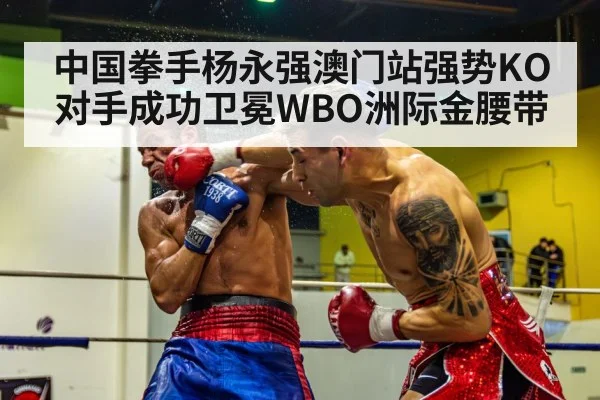 中国拳手杨永强澳门站强势KO对手成功卫冕WBO洲际金腰带